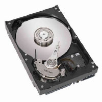 Seagate Barracuda ES 250GB SATA-II (ST3250820NS)